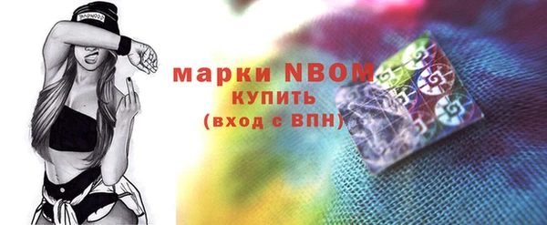 прущие грибы Костерёво