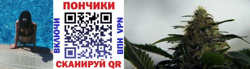 купить наркоту  Боготол  Конопля MAZAR 